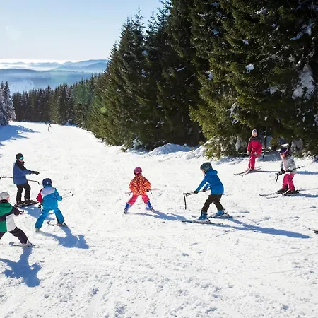 - 1208 -mit Hallenbad- Schluchsee
