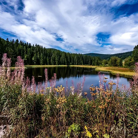 - 1208 -mit Hallenbad-