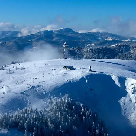 Daire - 1208 -mit Hallenbad- Schluchsee