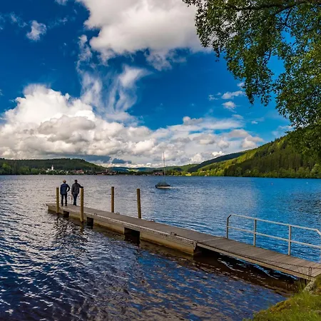 - 1208 -mit Hallenbad-