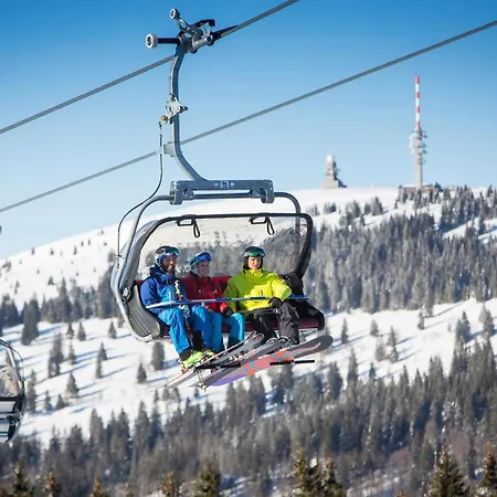 - 1208 -mit Hallenbad- Daire Schluchsee