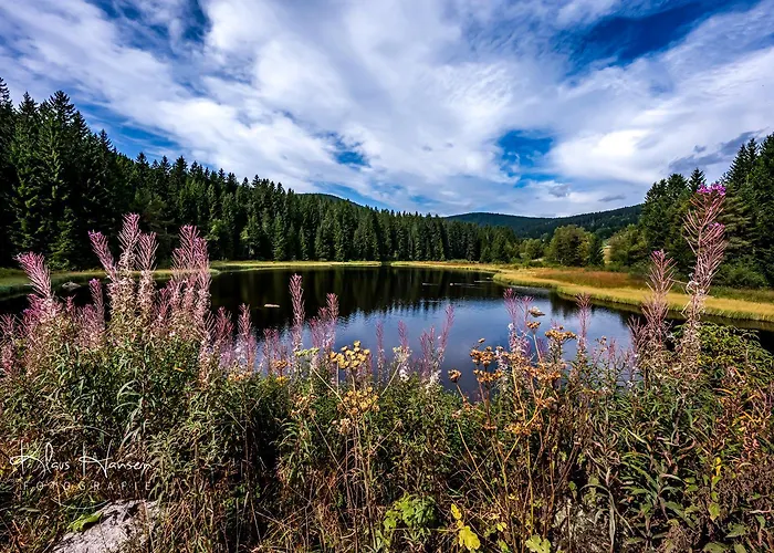 - 1208 -mit Hallenbad-